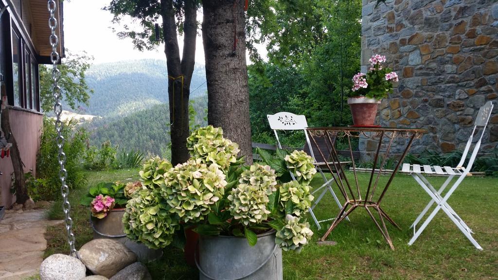 Xalet Refugi Pere Carne Pansiyon La Molina  Dış mekan fotoğraf