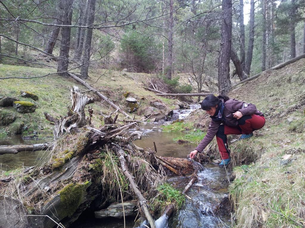 Xalet Refugi Pere Carne Pansiyon La Molina  Dış mekan fotoğraf