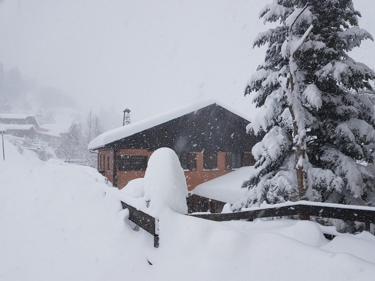 Xalet Refugi Pere Carne Pansiyon La Molina  Dış mekan fotoğraf